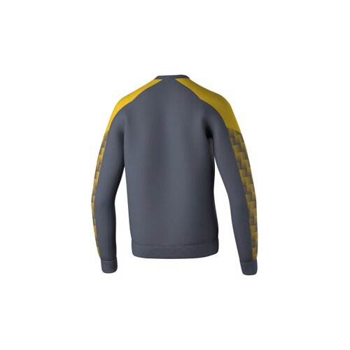 EVO STAR Sweatshirt slate grey/gelb