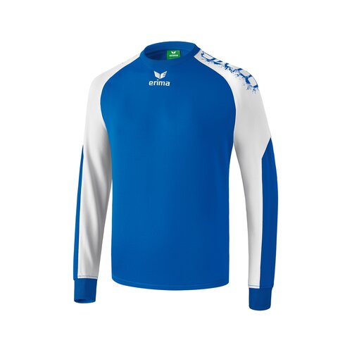 Erima Graffic 5-C Funktionssweat new royal/weiß