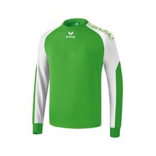 Erima Graffic 5-C Funktionssweat green/wei