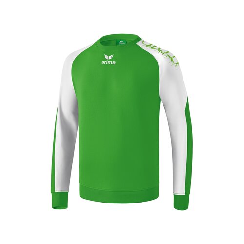 Erima Graffic 5-C Baumwollsweat green/wei